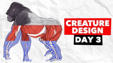 COMPLETE Guide to Torsos for Humans and Animals! | Full Length Tutorial | Bootcamp Day 3