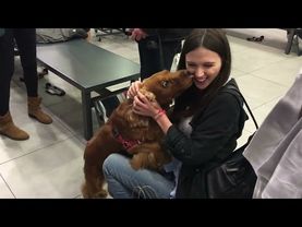 Жрем с Вилсой в IKEA