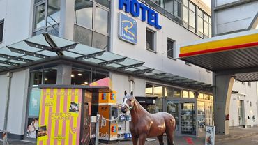 ЕВРОПА ДАЛЬНОБОЙ!! Обзор немецкого платного паркинга ( Autuhof)!! Отдыхаю на нем 45 ч.