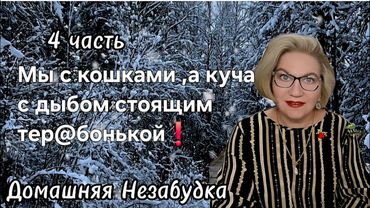 Мы с кошками, а куча с дыбом стоящим т@ребонькой❗️