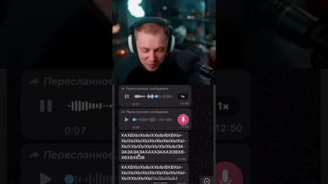 аудитория стендоффа #стинт #stint #stintik #прикол #реакция