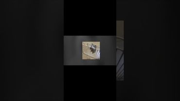 Неможливість жити гарантована всюди з таким цинізмом.