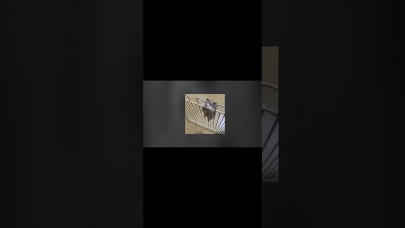 Неможливість жити гарантована всюди з таким цинізмом.