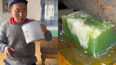 仙人掌香皂，太好用了吧#food #cooking #funny #家庭菜