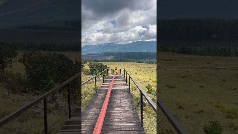 Riding the Long Tom Toboggan in Misty Mountain || ViralHog