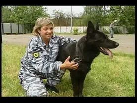 петровка 38 2010г