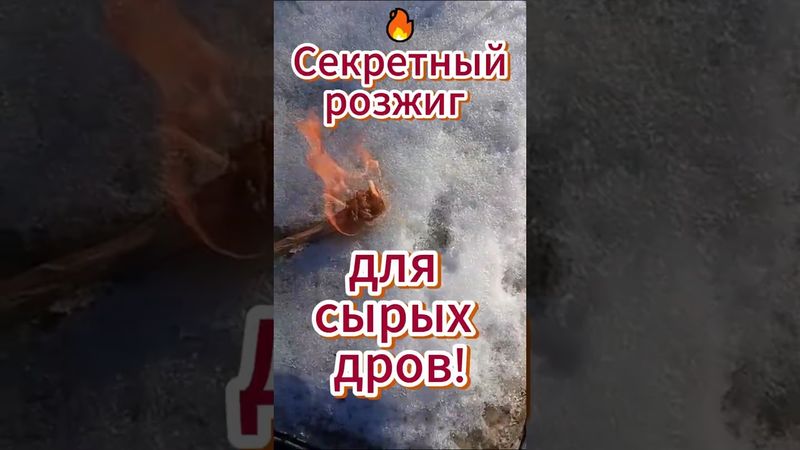 🔥 Секретный розжиг для сырых дров!