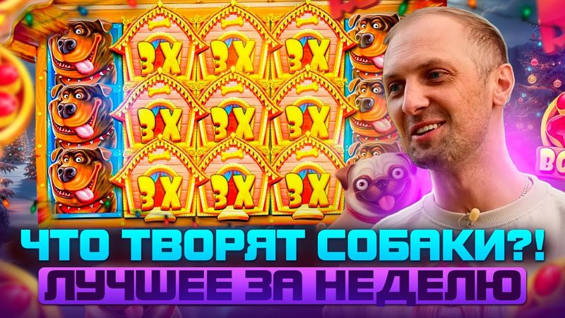 ЗУБАРЕВ. ЛУЧШИЕ ЗАНОСЫ НЕДЕЛИ В НОВОМ ГОДУ .#zubarefff #Zloy #Трепутин