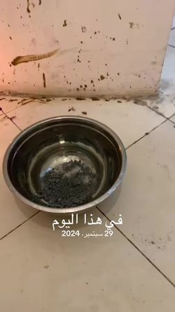 #في هذا اليوم 