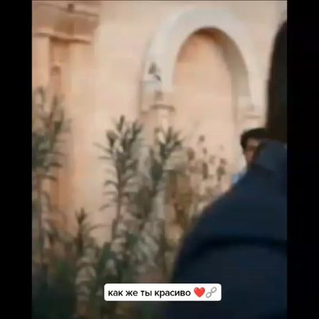 #зайчикимои🐰