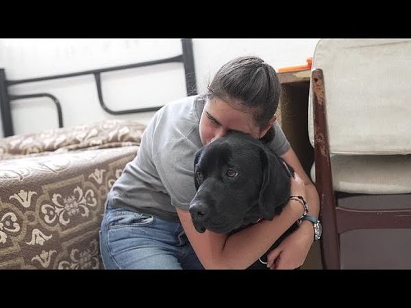 Watch: Mexico's guide dog school empowers the visually impaired