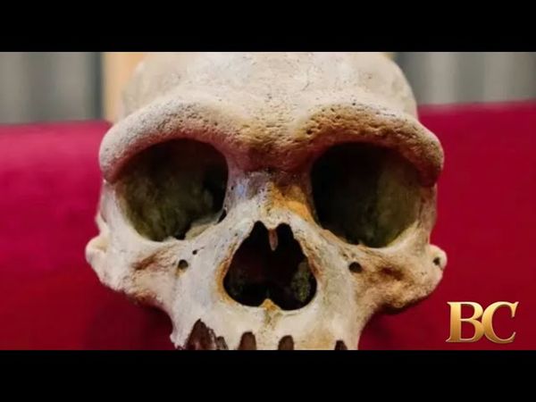 ‘Dragon Man’ DNA revelation puts a face to a mysterious group of ancient humans