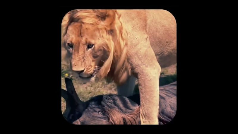 پایان زندگی او؛ یک روز پر برکت یا عدالت دروغین؟