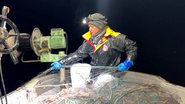 在小豆島的河裡用網子捕捉鯔魚！氣味？