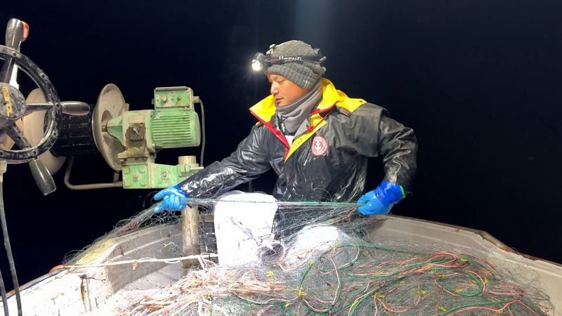 離島の川に群がるボラを網で巻いて一網打尽に！！臭くて食えない！？