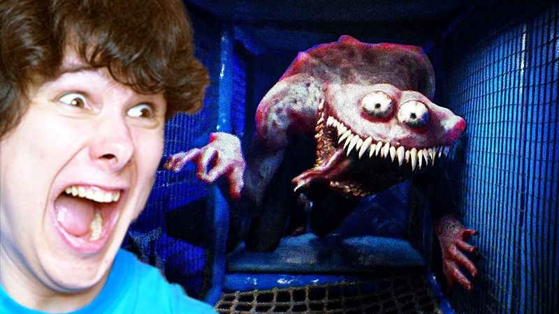 здесь кто-то есть...