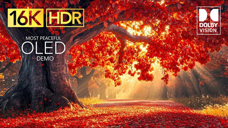 OLED TEST DEMO | 16K Video ULTRA HD 240 FPS Dolby Vision HDR (4K / 8K TV)