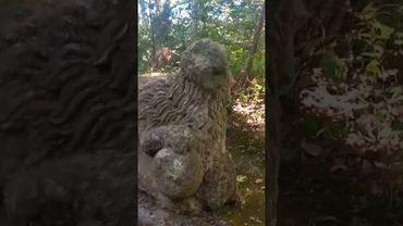 ПАРК МОНСТРОВ🇮🇹#путешествия #мир #обзор #рекомендации #красота #интересно #жизнь