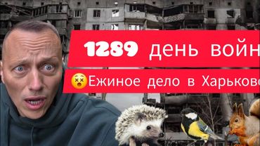 ‼️ВЗРЫВЫ😵 РЕЦЕПТЫ выживания по-украински😢Наши мясные деликатесы😵белочка, ёжик и голуби🙈