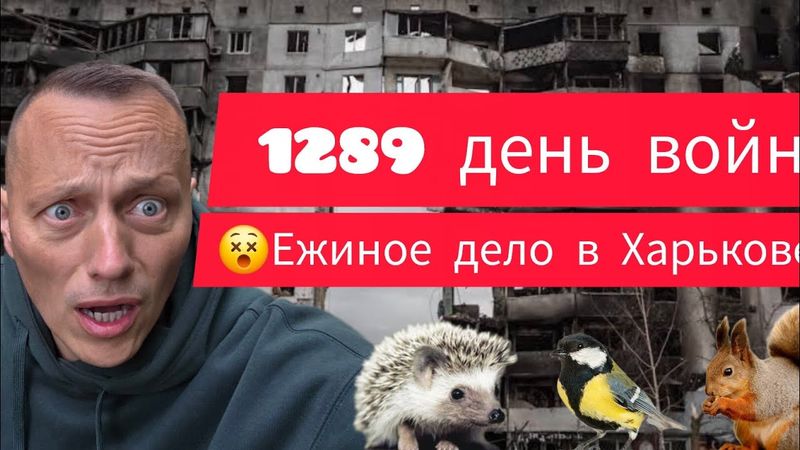 ‼️ВЗРЫВЫ😵 РЕЦЕПТЫ выживания по-украински😢Наши мясные деликатесы😵белочка, ёжик и голуби🙈