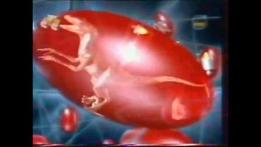 Заставка программы «Самый умный» на СТС (2003 год) [Вариант 1]