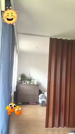 #nature #funny #cat #cats #catlover #catlovers #funnycat 