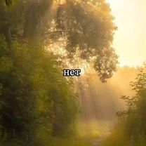 #мемы #яблучки #мем 