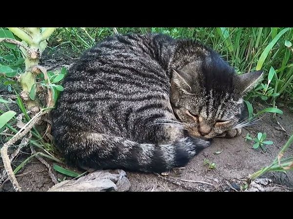 #Славянск. 9 августа 2025г. Вечер.