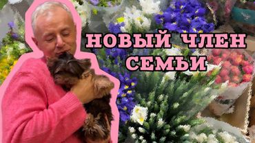 Завели собачку 🐶 Семейные посиделки.