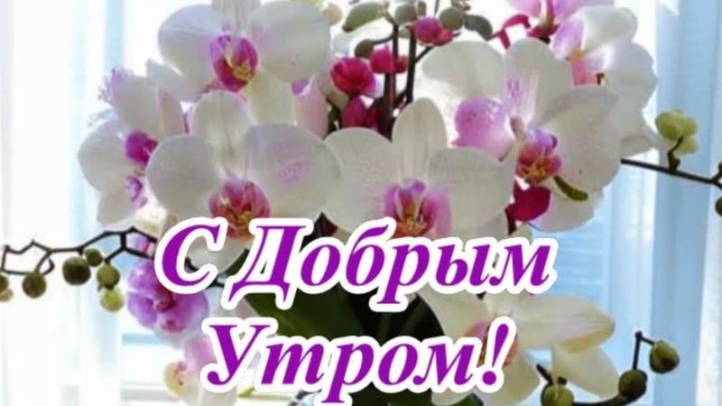Доброе утро! Хорошего дня! Красивая песня и добрые пожелания.