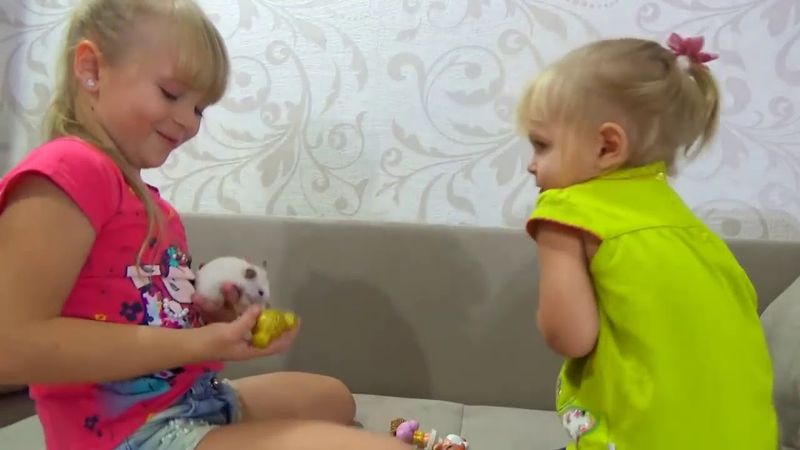 Маргарита РАССТРОИЛАСЬ Папа НЕ ХОЧЕТ ХОМЯКА