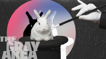 Is free will an illusion? | The Gray Area