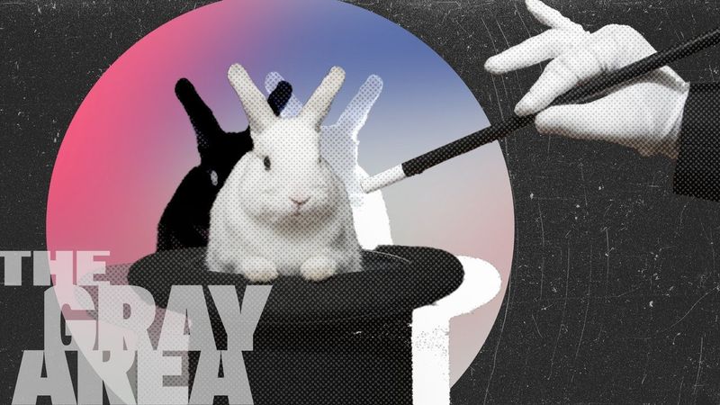 Is free will an illusion? | The Gray Area