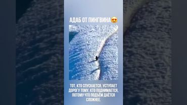 #muslimcontent #кино #субханаллах #аллах #тикток #аллоху #напоминание #топ #коран #любовь #rek #duet