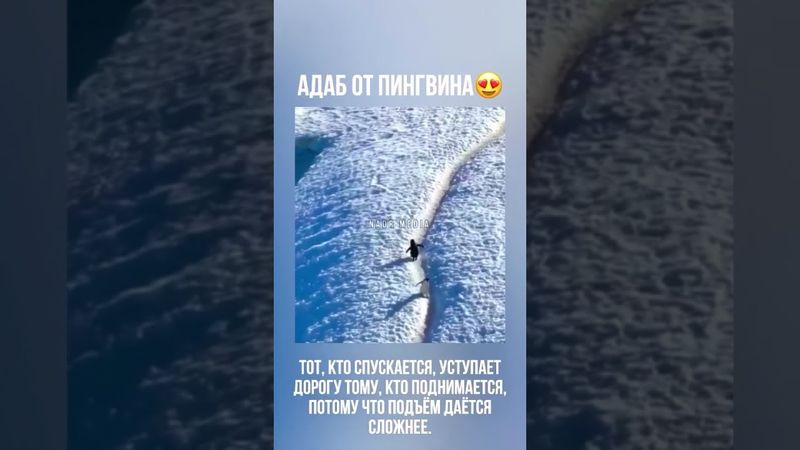 #muslimcontent #кино #субханаллах #аллах #тикток #аллоху #напоминание #топ #коран #любовь #rek #duet