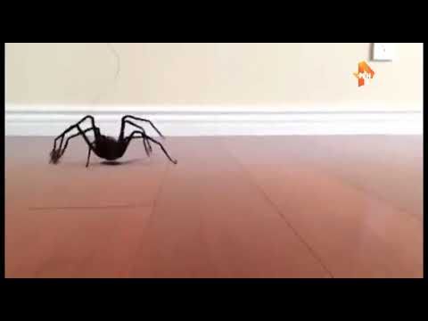 Взлом канала РЕН ТВ