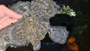 Чистка от ритуалов черного венчания с покойником,венца безбрачия, личной жизни, красоты, здоровья🥰🤩😘