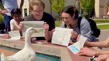 I took my duck to College 📚🦆