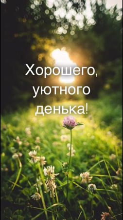 #сдобрымутром #пожеланиясдобрымутром #хорошегодня #утро #привет
