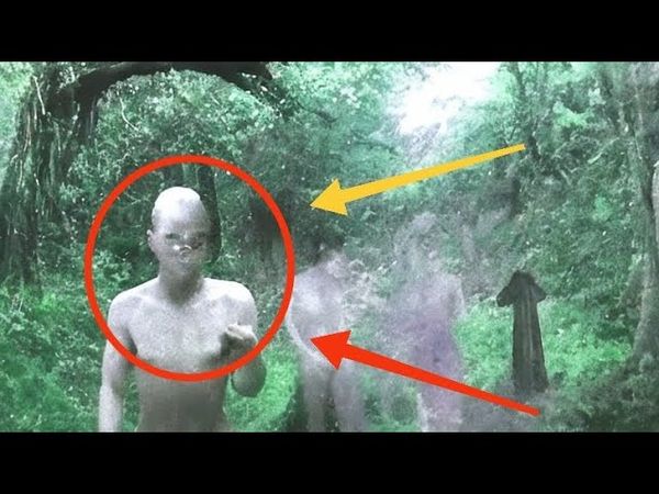 Creepy Creature Caught on Camera in the Woods. Unexplained Paranormal Videos