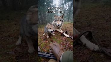 he couldn’t save her…  But he never left