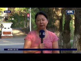 Сайгачатина в Актобе вызвала настоящий бум