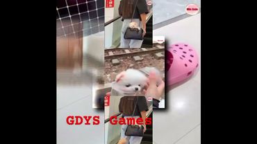 запрос от @LETOT6005: PLPMV ci欽納斯‧哈塞什‧阿札札茲之歌 Scan [GM]