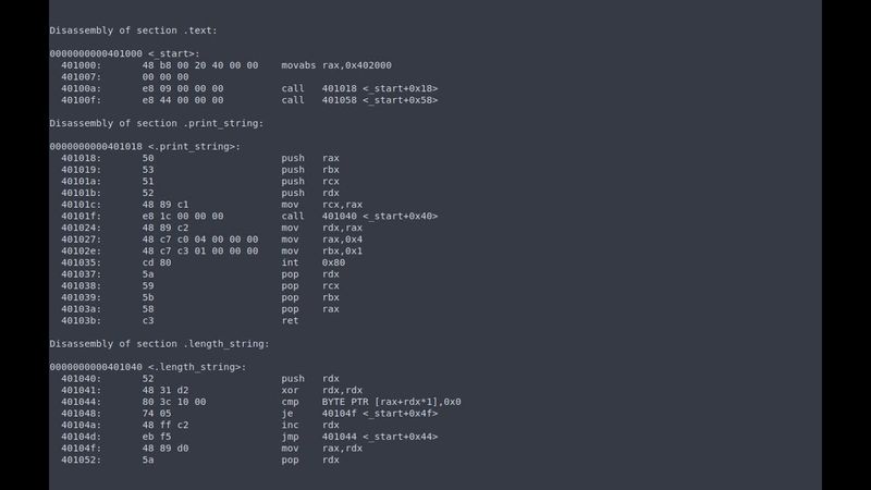 // Язык Ассемблера #1 [FASM, Linux, x86-64] //