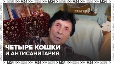 Четыре кошки и антисанитария: суд запретил москвичке держать животных | Москва 24