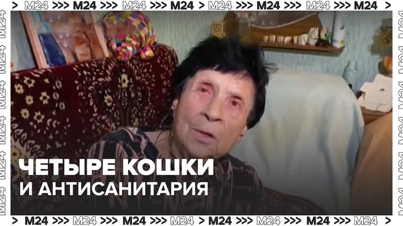 Четыре кошки и антисанитария: суд запретил москвичке держать животных | Москва 24