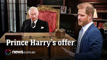 Harry's huge new offer to the King