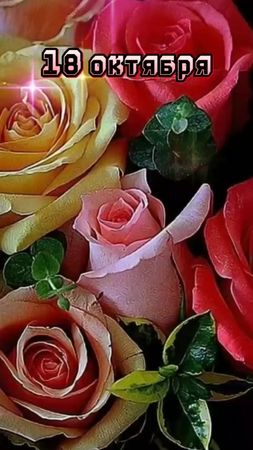 #деньженскогосчастья🎨