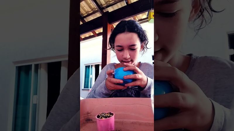 24 de agosto de 2025