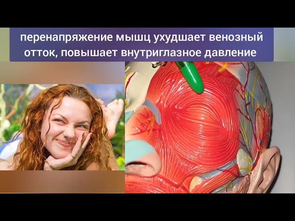 Перенапряжение в 4-х точках вредит здоровью глаз, ухудшает зрение. Методы декомпрессии